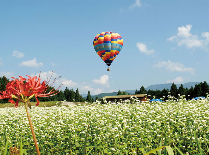 椛の湖そばの花まつり