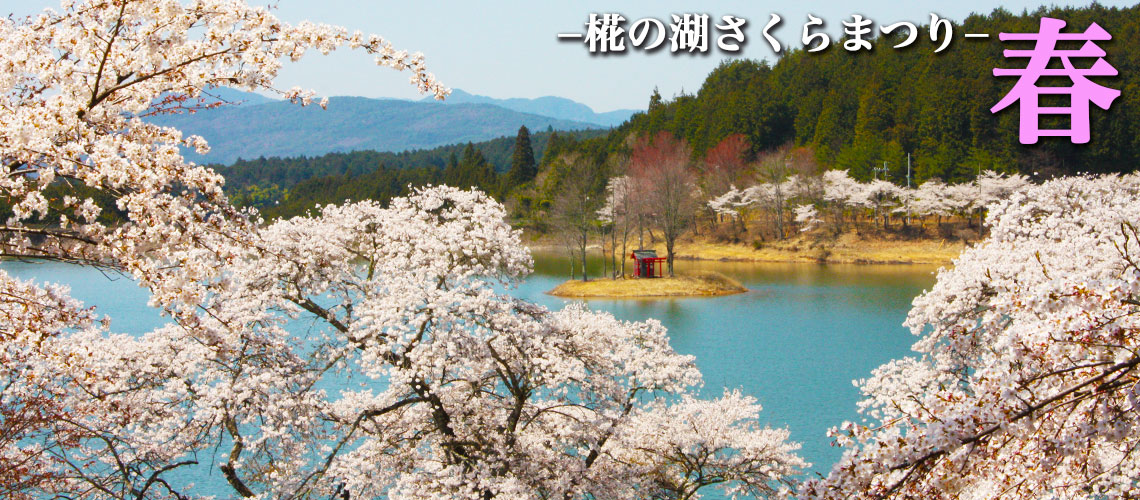 花の湖さくら祭り